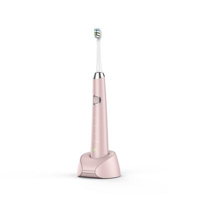 China OEM Pressure Sonic Electric Toothbrush Ipx7 For Sensitive Teeth for sale