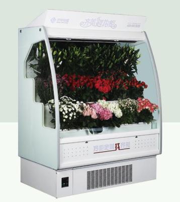 China Large Single-temperature Window Energy-saving Environmental Protection Flower Display Freezer for sale