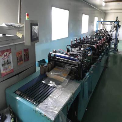 China Packaging Industry Brand 600C Multifunction Bag Making Machine for sale