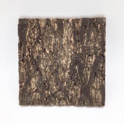 China Natural Cork Background 30cm Width X 30cm Length Viable Bark Bark Tile Natural For Mini Reptile Greenhouse for sale