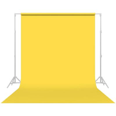 China High Quality Light Absorption Black White Blue Green Pink Red Gray Red Backdrop Roll For Studio Photography for sale