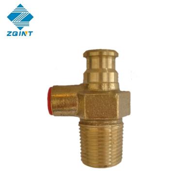 China Home Kitchen Ghana 20mm Gas Cylinder Valve for sale