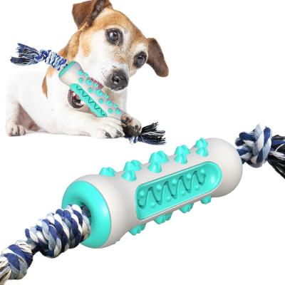 China Sustainable Dog Toothbrush with Rope Bone Dog Toothbrush Chew Toy for sale