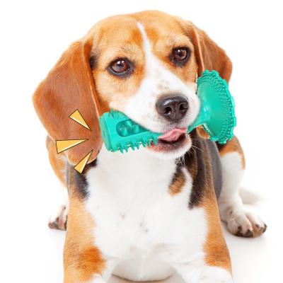 China Fashionable Classic Toothbrush Vocal Dog Molar Toy for sale