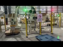 TAEMS robot palletizer system for carton