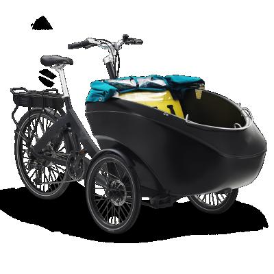 China Aluminum Alloy Electric Bike Covered Electric Tricycle With Front 20