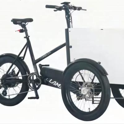 China Aluminum alloy electric tricycle with speed sensor front 20