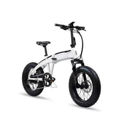 China Aluminum Alloy Electric Bicycle, 48V Lithium Battery, 8 Speed, 12Ah, 13Ah, 14Ah Fat Bike_20inch for sale