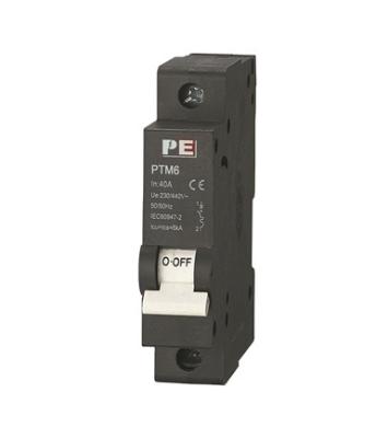 China 1- 63 Amp 1P/2P/3P/4P Professional Miniature Circuit Breaker Mini MCB Manufacturer PTM6/1P for sale