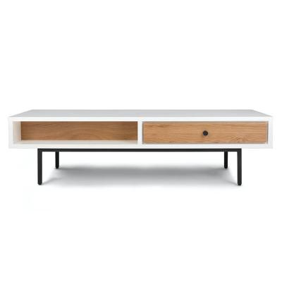 China Contemporary Simple Style Living Room Furniture Wood Modern TV Stand 53