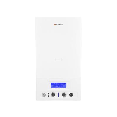 中国 Fast Delivery Wall Mounted Gas Water Heater For Home Heating Water Heater Gas 販売のため