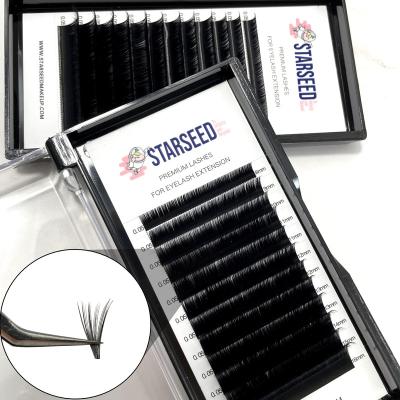 China Hot Selling Beauty Natural Soft Eyelash Lashes Easy Fanning Fan Loop C D Loop Fan Eyelash Extensions Private Label Fan Lash Extensions for sale