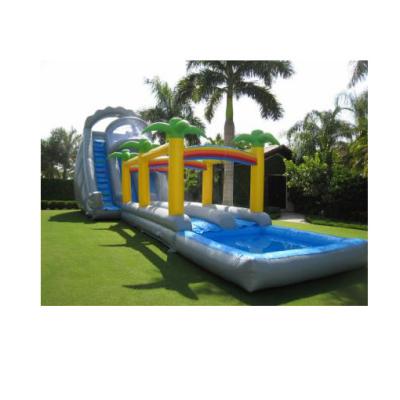 China Guangzhou Outdoor Indoor Play Commercial Kids Slide Lane Tropical Double Palm Cheap Inflatable Water Slide for sale