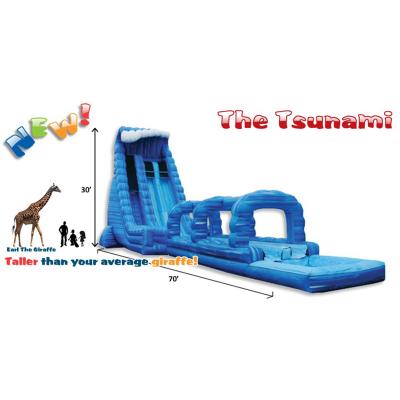 China Guangzhou Castle Combo Inflatable Slide and Outdoor Indoor Play Tropical Inflatable Kids and Adults Slide for sale