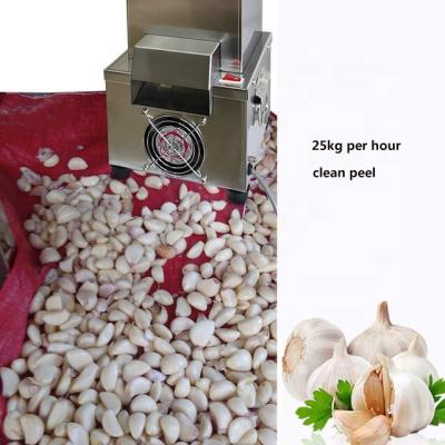 China Small And Lower Price Small Electric Garlic Peeling Machine For Sale for sale