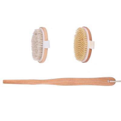 China 2021 NEW Bristle Eco-friendly All Natural Body Scrub Bamboo Bath Brush 2in1 Set for sale