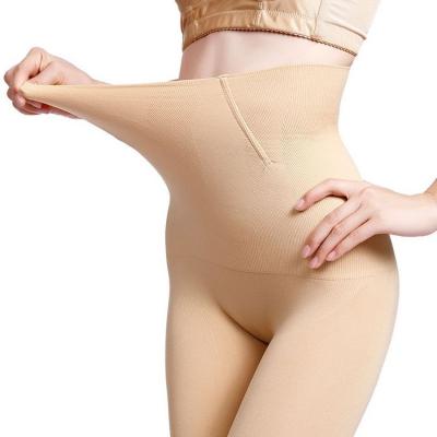 China Breathable High Waist Slimming Corset Hip Pads For Women Tummy Control Underwear Padded Butt Lifter Body Panties Shapewear for sale