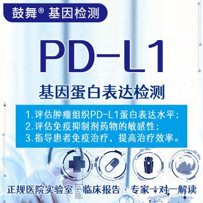 China PD-L1 Eiwitexpressie E1L3N Beste genetische test voor de gezondheid Te koop