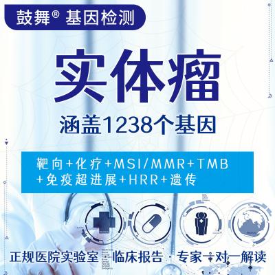 China Solid Tumor 1238 Gene Testing for sale