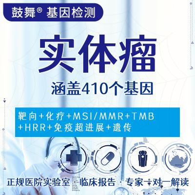 China Solid Tumor 410 Gene Testing for sale