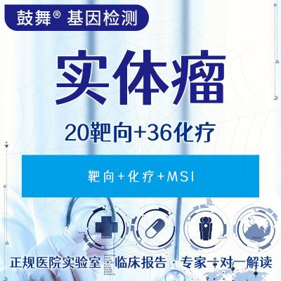 China Tumor 56 Gene Testing (20 Targeted+36 Chemotherapy) for sale