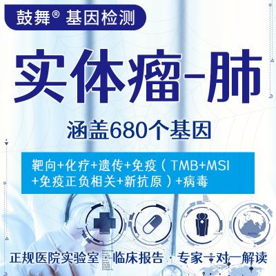 China Solid Tumor 680 Gene Testing (Lung) for sale