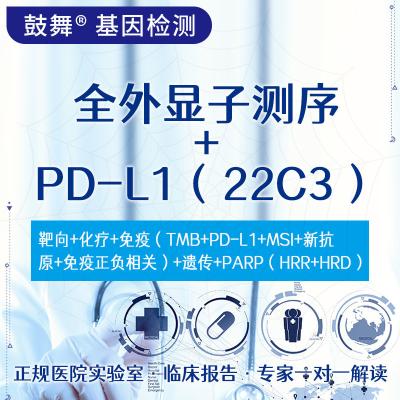 China NGS+IHC Whole Exome Sequencing Test +PD-L1 (22C3) Package for sale