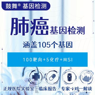 China Lung Cancer 105 Gene Testing for sale