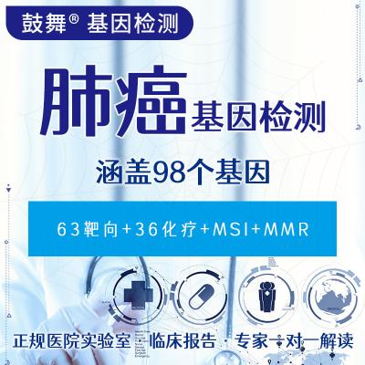 China Lung Cancer 98 Gene Testing (63 Targeted+36 Chemotherapy) for sale