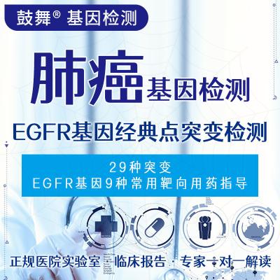 China EGFR Gene Classical Point Mutation Detection for sale