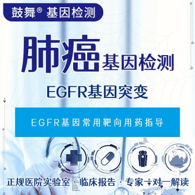 China EGFR Gene Mutation MassARRAY Genetic Testing Services for sale