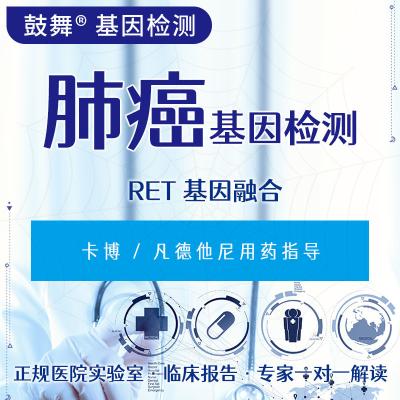 China RET Gene Fusion FISH Genetic Testing For Cancer 6 Working Days Cycle for sale