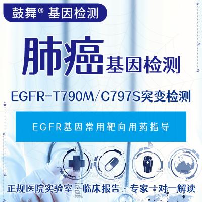 China Ultrahoge gevoeligheid EGFR secundaire biopsie T790M+L858R/19del Te koop