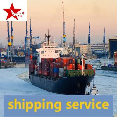 China fastest international freight shipping sea freight china to new zealand one stop shopping delivery to door available for sale