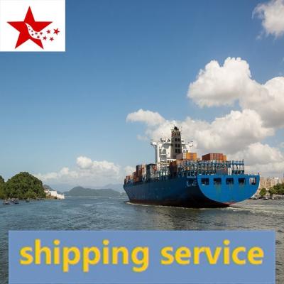 China CHINA container shipping agent fastest door to door sea freight from china to New Zealand SHIPPING available for sale