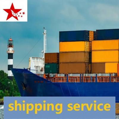 China China Heritage Freight LLC Canton DDp DDu Freight Forwarder To NEW ZEALAND By SEA To Door International Shipping Available for sale