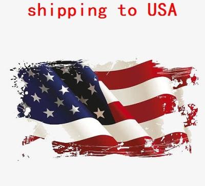 China sea ​​cargo china in usa container shipping reliable DDP service shipping agent Available for sale