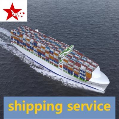 China china lcl sea freight ocean freight forwarder to CLEVELAND/OH CINCINNATI/OH door to door service freight charges Oocl cosco for sale