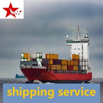 China sea ​​freight forwarder china to usa shenzhen canton shanghai ningbo to america cosco Oocl for sale