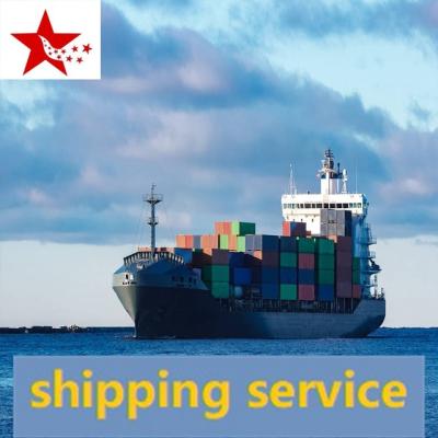 China Freight Logistics CHINA SHIPPING AGENT Shipping Freight Forwarder With Competitive Shipping Price To Osaka Oocl cosco for sale