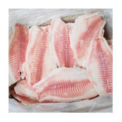 China Nutritious Tilapia Fillet Tilapia Fish Price Bulk Frozen Fillet for sale