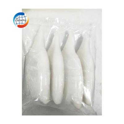 China Head-todarodes squid nutritious high quality frozen tube for sale