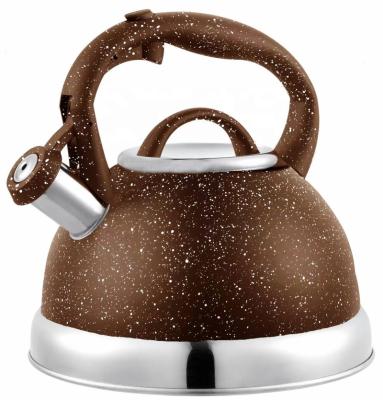 China Sustainable Wholesale Water Use Kettle Bollitore Gas Daily Kettle Stainless Whistling Tea Kettle Whistling for sale