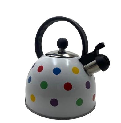 China Sustainable Wholesale Water Use Kettle Bollitore Gas Daily Kettle Stainless Whistling Tea Kettle Whistling for sale