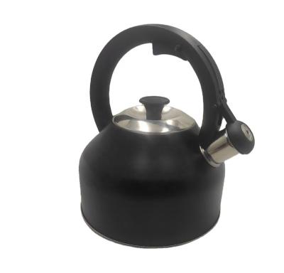 China Sustainable Wholesale Water Use Kettle Bollitore Gas Daily Kettle Stainless Whistling Tea Kettle Whistling for sale