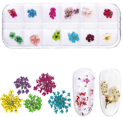 China Easy Apply 12 Mixed Color Japanese Nail Decoration Stereo Natural Dry 3D Flowers For Nail Art for sale