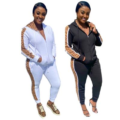 China 2021 Fall Women's Clothing Fashion Breathable Long Sleeve Fashionable Ladies Two Piece Pants Set 2 Piece Set for sale