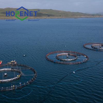 China Fish Cage Fish Farming Fishing Net Net Prices Sea Fishing Net HOPENET Plastic Nets for sale