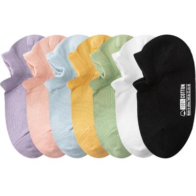 China Wholesale Hot Selling Sports Logo Adult Women Crew Cotton Socks Premium Custom Cute Warm Sock Winter Sports Socks for sale