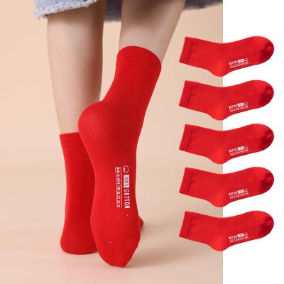 China Sportsman In Running Red Crew Patterned Ankle Soft Cotton Bangs For You for sale